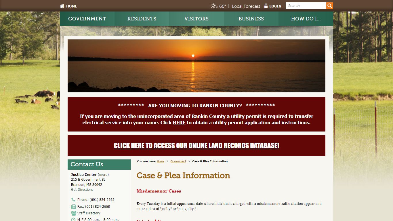 Case & Plea Information / Rankin County, Mississippi